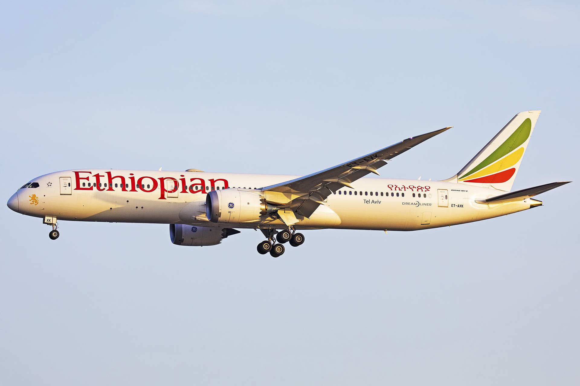 Et 761 ethiopian airlines. Эфиопские авиалинии. Ethiopian Airlines. Самолет Ethiopian Airlines 1 класс еда.